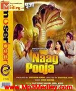 Naag Puja 1971 song download